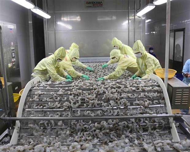 Vietnam’s shrimp export rises slightly in 9 months hinh anh 1