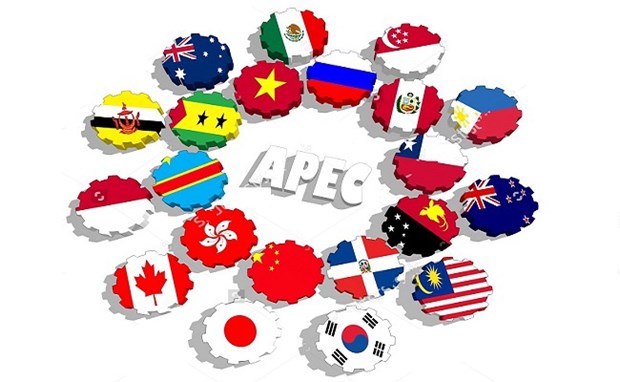 Vietnam expects APEC to remain key forum for economic cooperation, linkages hinh anh 1