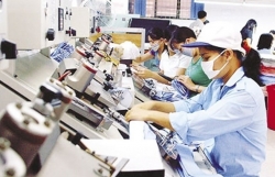 Private businesses in Vietnam: increases in both quantity, quality
