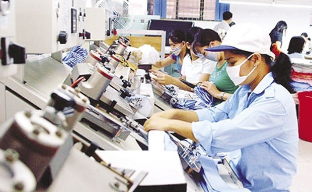 Private businesses in Vietnam: increases in both quantity, quality hinh anh 1