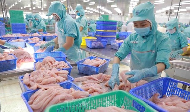 Aquatic exports post 34-percent-growth in 10 months hinh anh 1