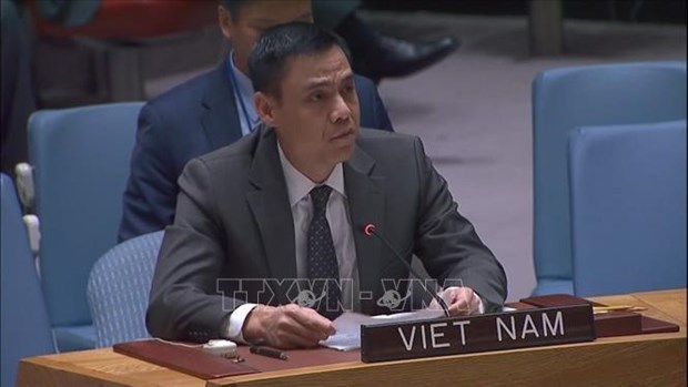 Vietnam ready to cooperate with UN member states in peacekeeping: Diplomat hinh anh 1