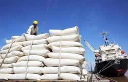 Philippines remains biggest importer of Vietnamese rice