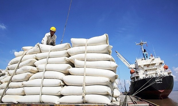 Philippines remains biggest importer of Vietnamese rice hinh anh 1