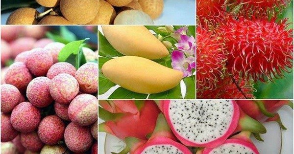 Fruit exports to bring home over 5 bln USD by 2025 hinh anh 1