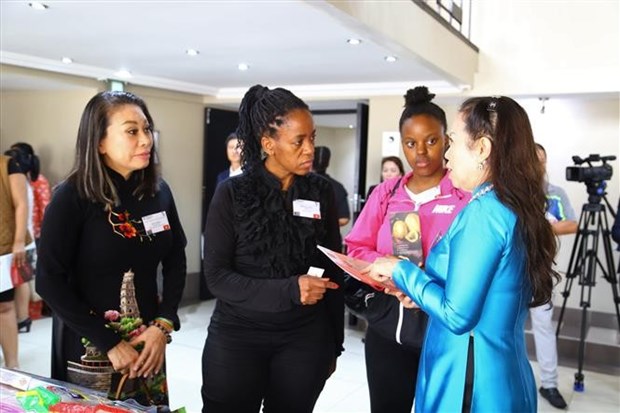 Vietnamese, South African businesses look to boost partnership hinh anh 1