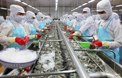 Aquatic exports likely to hit record of over 10 bln USD in 2022