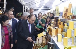 Great potential for Vietnam to develop billions-USD ginseng industry: President