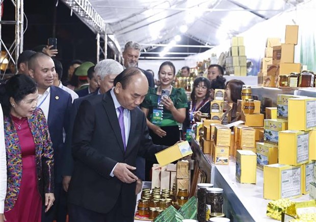 Great potential for Vietnam to develop billions-USD ginseng industry: President hinh anh 1