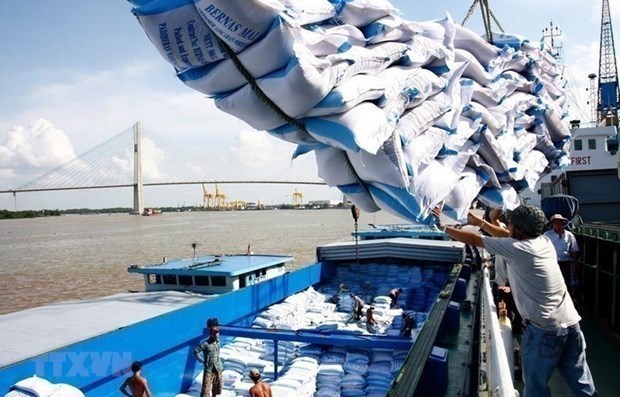 Vietnam’s rice export to hit 7 million tonnes this year hinh anh 1
