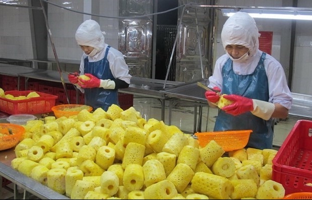 Vietnam advised to produce green, clean goods to win over European consumers