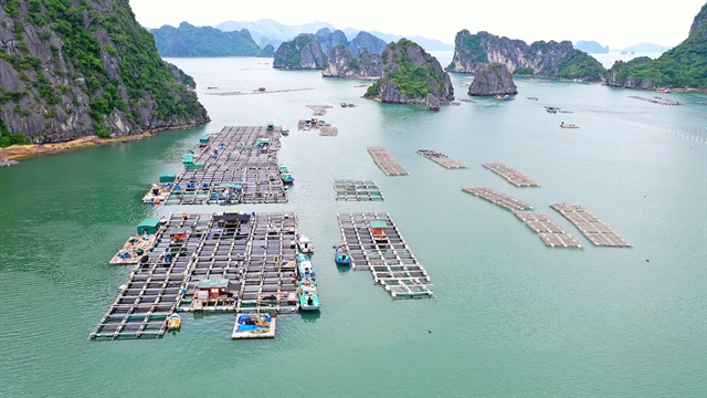 Quảng Ninh to become leading coastal economic hub