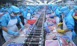 Tra fish nets impressive export growth