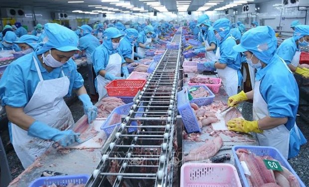 Tra fish nets impressive export growth hinh anh 2