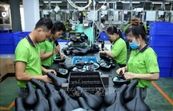 Int’l experts, organisations believe in Vietnam"s sustainable growth potential