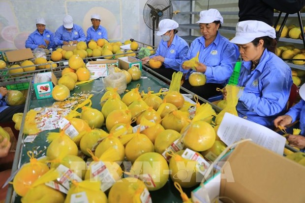 Green transition creates opportunities for Vietnam’s export: forum hinh anh 1