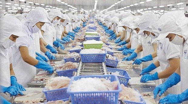 Vietnam named among leading sources of seafood supply for US hinh anh 1