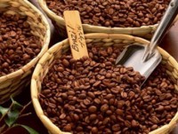 Vietnam hungry for bigger bite of cocoa market