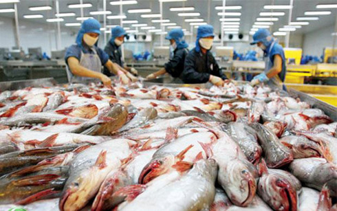 alarm bells ring over vietnam catfish exports quality