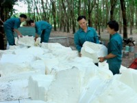 Financial violations imperil rubber firm’s IPO