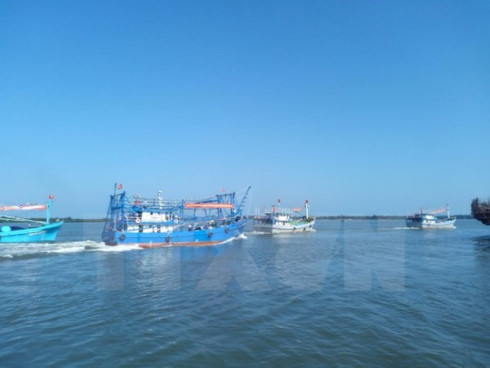 fisheries important economic sector of vietnam