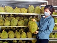 Vietnam’s fruit production grows yet imports still necessary