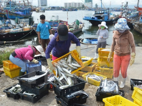 urgent measures taken to respond to eus warning on iuu fishing