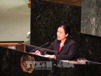 Vietnam calls for UN’s comprehensive strategy to maintain peace