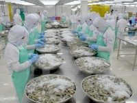 Switzerland imports over 50% shrimp from Vietnam