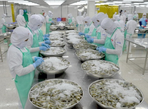 switzerland imports over 50 shrimp from vietnam
