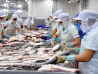 Seafood export earnings surge 6.8% in 11 months