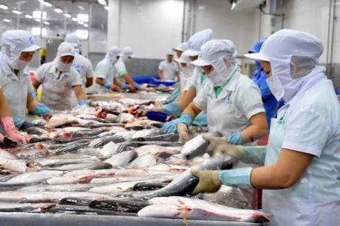 seafood export earnings surge 68 in 11 months