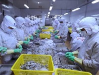 Seafood firms struggle in local market