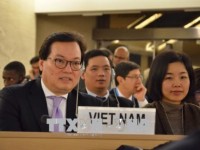 Vietnam respects international dialogue on human rights
