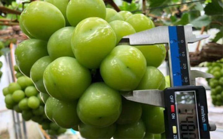 vietnamese consumers spend big money on imported fruits