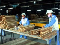 Forestry, aquatic exports expected to earn US$20.5 billion in 2019