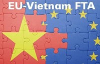 New FTAs put pressure on VN to reform business practices