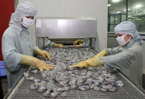 shrimp exports slide further in 2019 better outlook expected next year