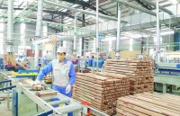 Export of timber and wood products exceeds US$9 billion