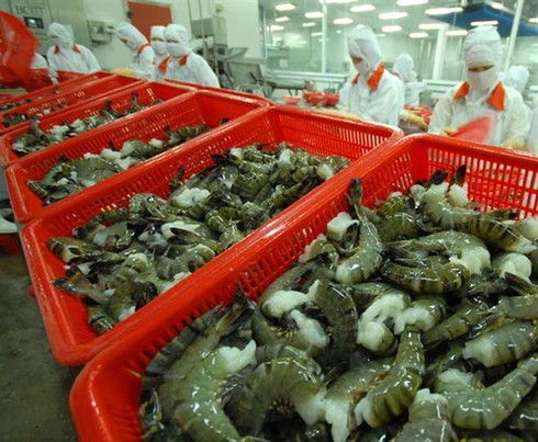 vietnam to promote shrimp exports to eu next year