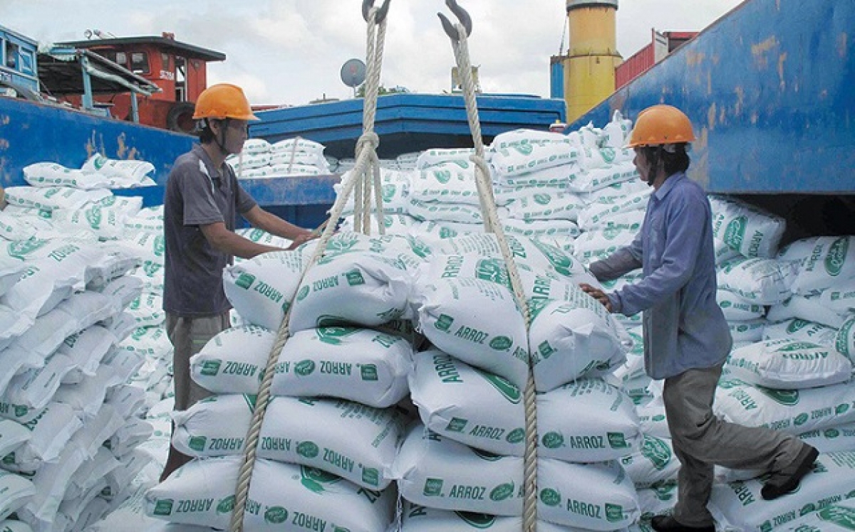 Rice export price soars to roughly US$500 per tonne