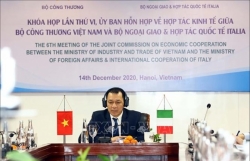 Vietnam, Italy enhance economic ties