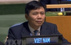 Vietnam pledges to further contribute to UN Mission in South Sudan