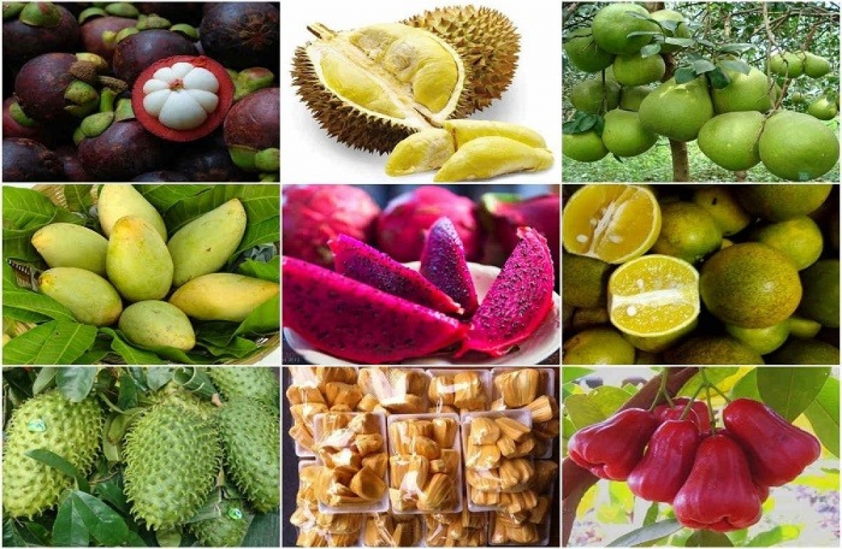 Fruit and vegetables are one of Vietnam's key export products to the EAEU market ( Photo: vietnamfinance.vn)