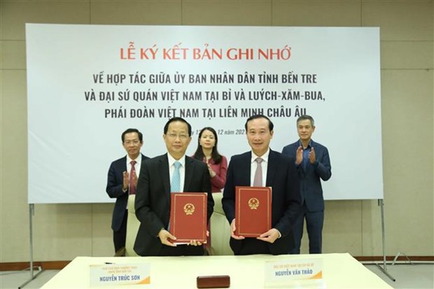 Seminar looks to boost cooperation between Vietnamese localities and EU hinh anh 1
