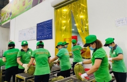 More fruit, vegetable export opportunities for Vietnamese produce next year