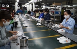 FDI firms optimistic about Vietnam’s economic recovery