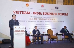 NA Chairman addresses Việt Nam-India Business Forum