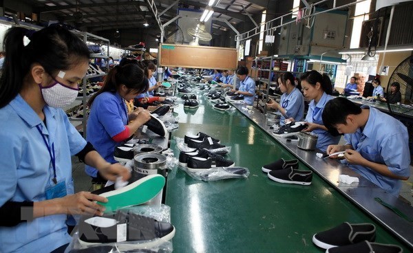 Vietnam looks to promote export to Brazil hinh anh 1