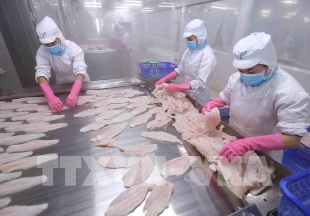 Fishery exports projected to near 8.9 billion USD this year hinh anh 1